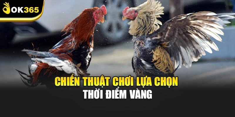 Chiến thuật chơi lựa chọn thời điểm vàng
