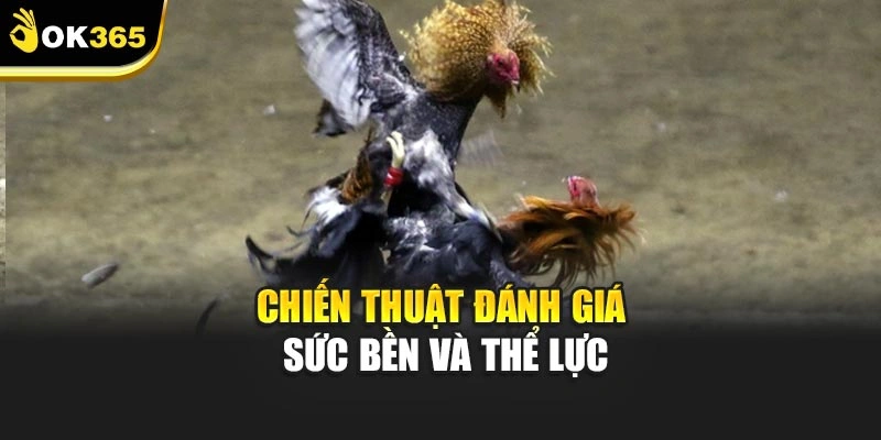 Chiến thuật đánh giá sức bền và thể lực
