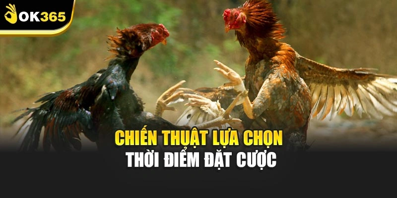 Chiến thuật lựa chọn thời điểm đặt cược