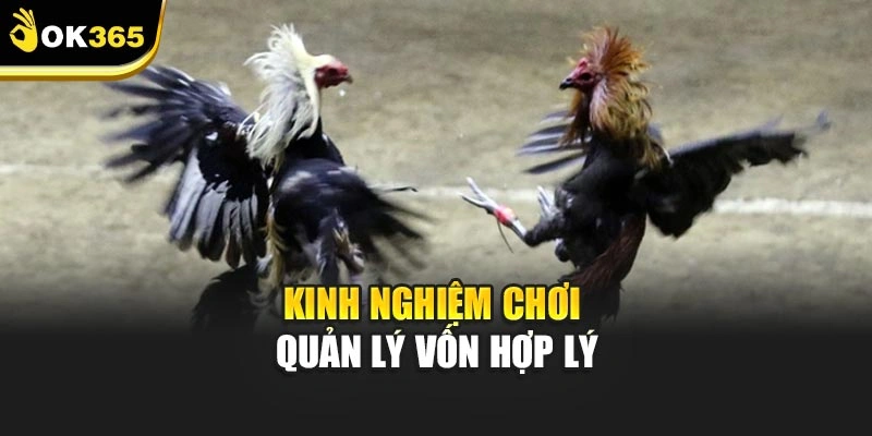 Kinh nghiệm chơi quản lý vốn hợp lý