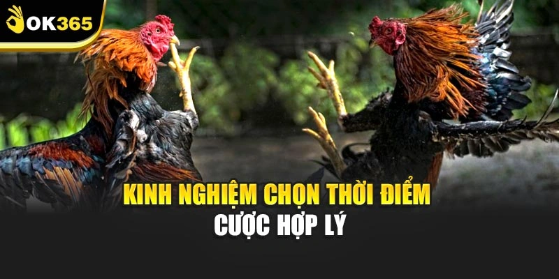 Kinh nghiệm chọn thời điểm cược hợp lý