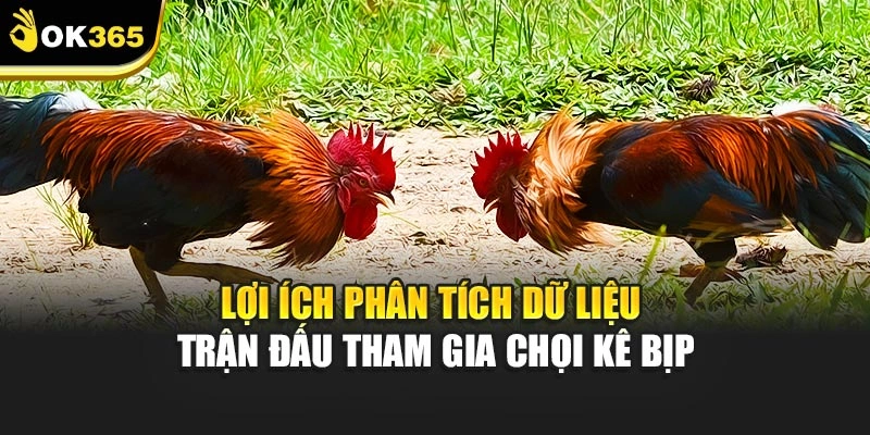 Lợi ích phân tích dữ liệu trận đấu tham gia chọi kê bịp
