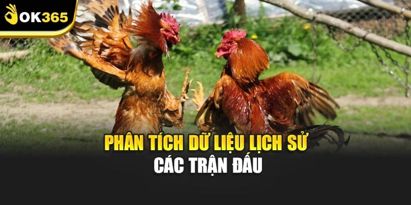 Phân tích dữ liệu lịch sử các trận đấu