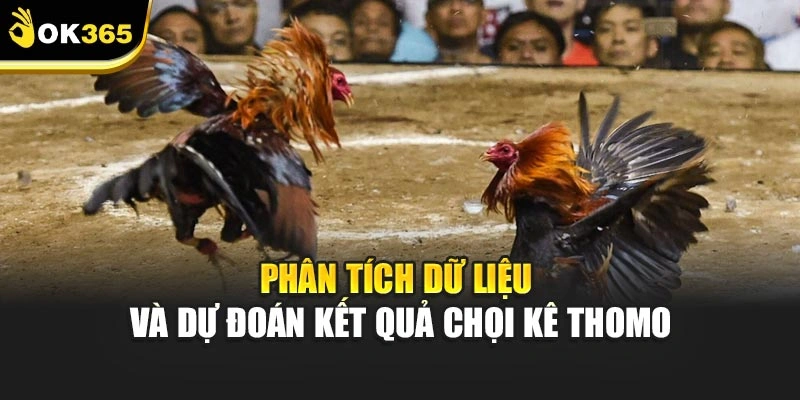 Phân tích dữ liệu và dự đoán kết quả chọi kê thomo