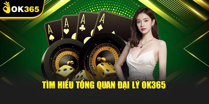 Tìm hiểu tổng quan đại lý OK365