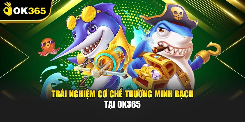 Trải nghiệm cơ chế thưởng minh bạch tại OK365